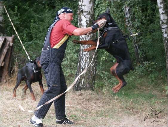 Summer training camp - Jelenec - 2007